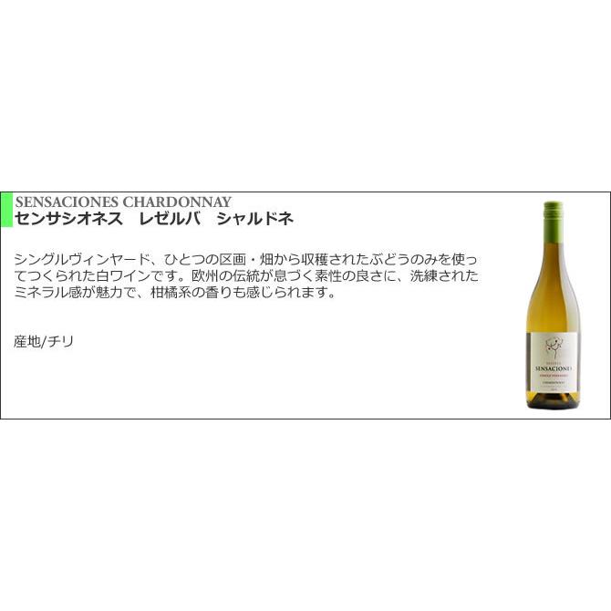 【送料無料】＜第53弾＞ 世界のシャルドネセット（白6本） |  | 04