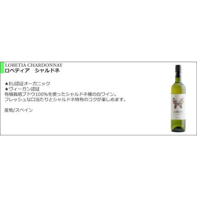 【送料無料】＜第53弾＞ 世界のシャルドネセット（白6本） |  | 06