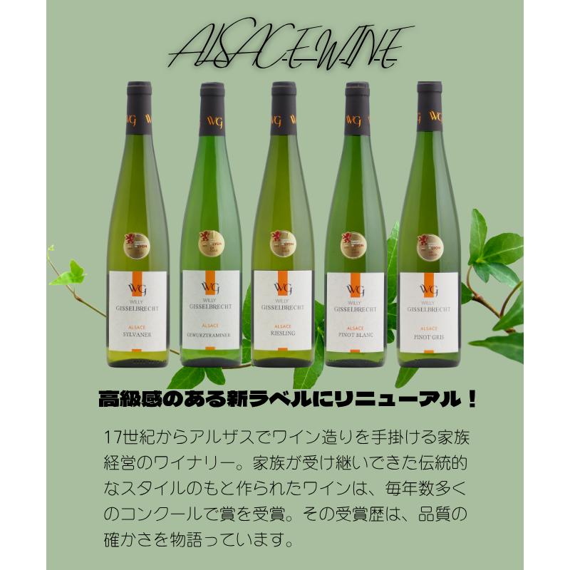 送料無料】 アルザスワインセット（白5本）ワインセット 飲み比べ お得