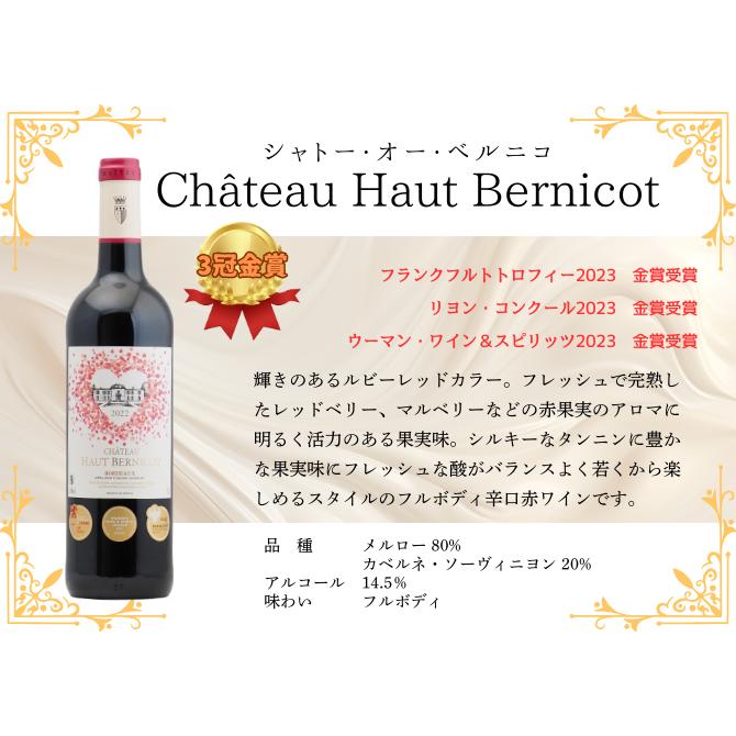 第66弾】厳選ボルドー赤ワイン12本セット（赤750ml×12本）【送料無料