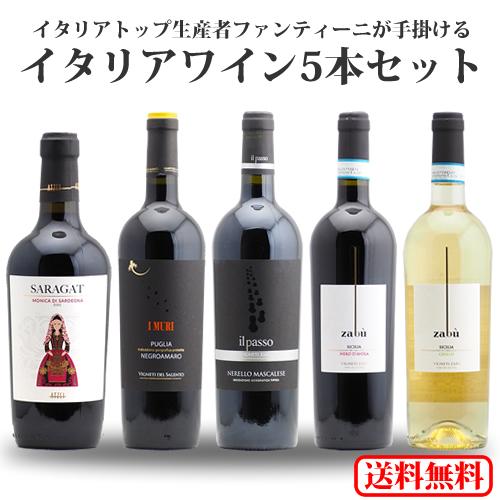 ファンティーニイタリアワイン5本セット（750ml×5本）【送料無料 