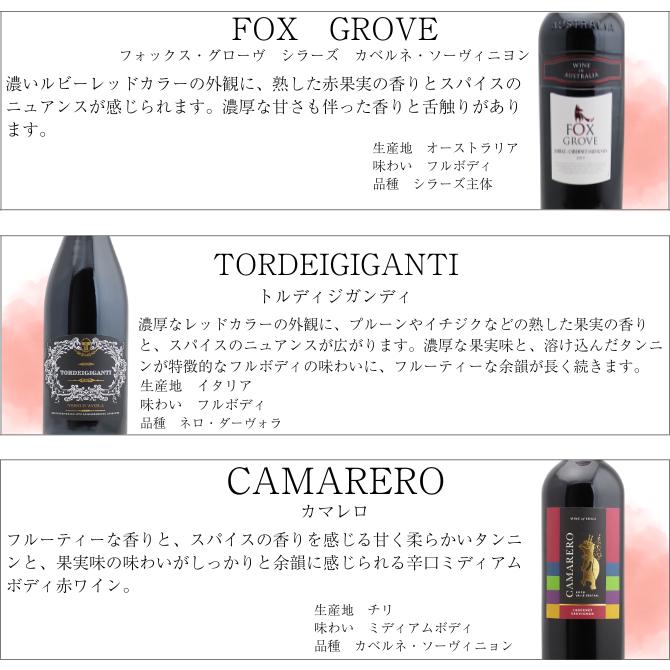 【送料無料】＜第85弾＞スペシャル赤ワイン12本セット（赤12本） 同梱不可 送料無料 ワインセット 赤セット |  | 02