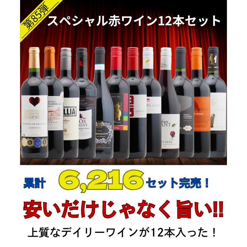 【送料無料】＜第85弾＞スペシャル赤ワイン12本セット（赤12本） 同梱不可 送料無料 ワインセット 赤セット |  | 05