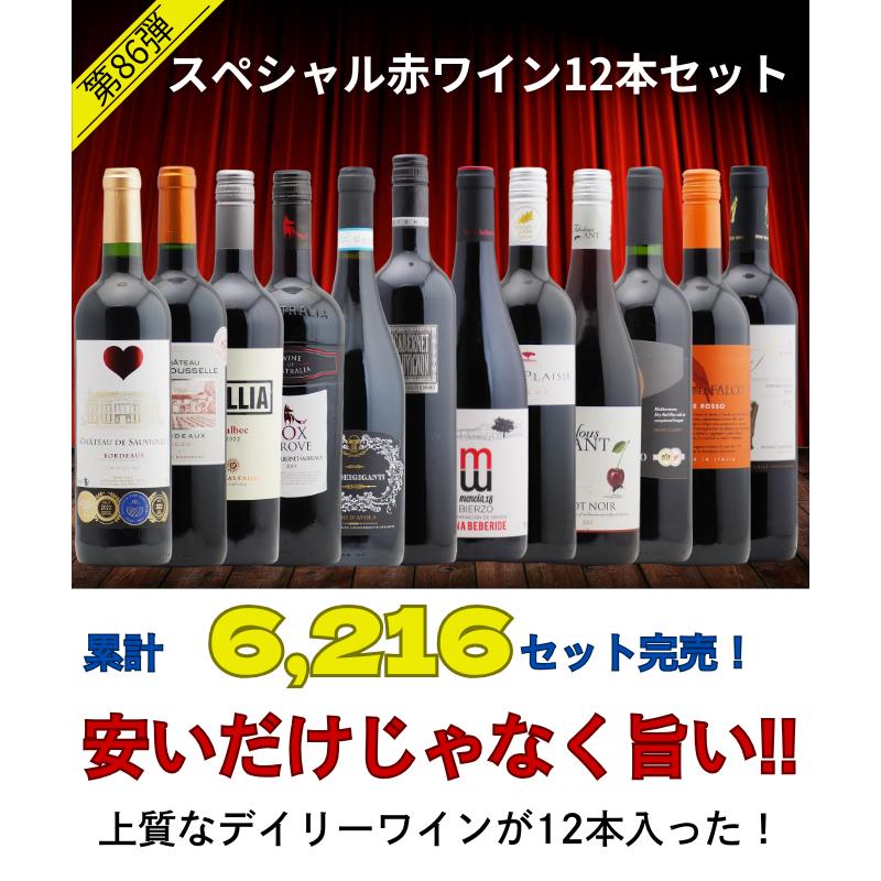 【送料無料】＜第86弾＞スペシャル赤ワイン12本セット（赤12本） 同梱不可 送料無料 ワインセット 赤セット |  | 05