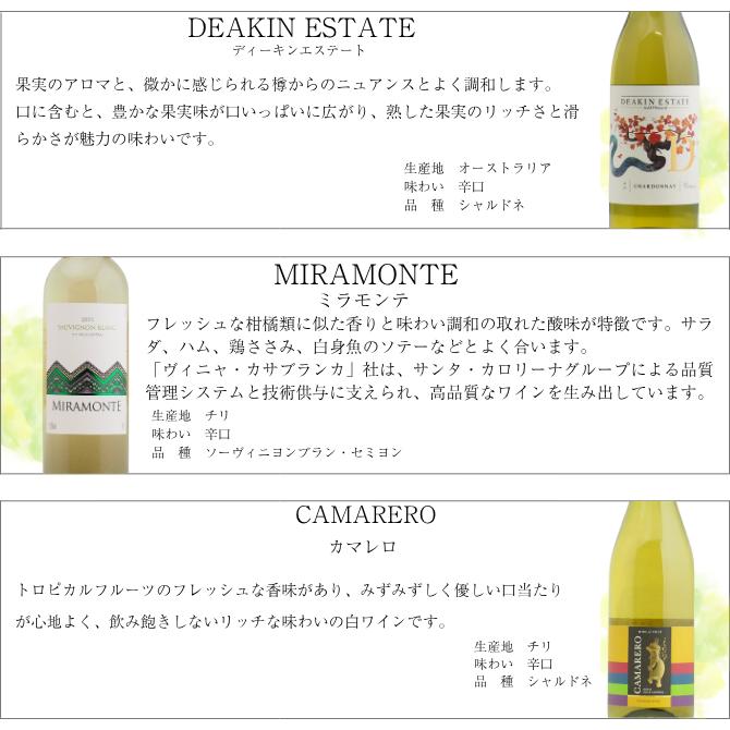 送料無料】＜第66弾＞スペシャル白ワイン12本セット（白12本） 同梱