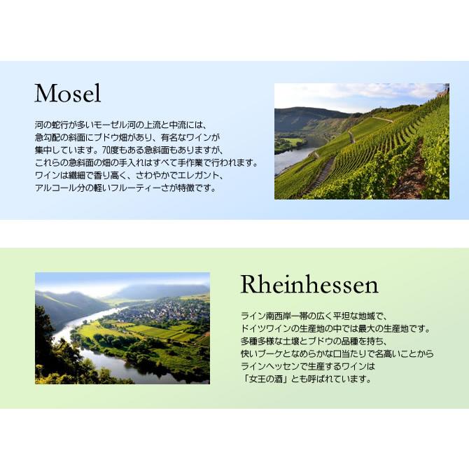 (送料無料)  甘口ドイツワインセット(白4本) |  | 01