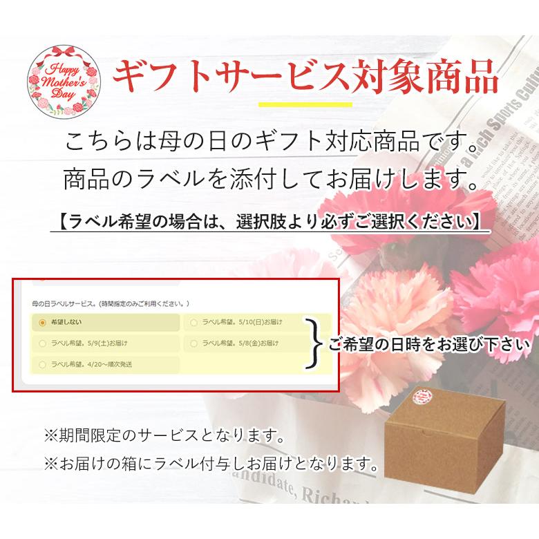 マディソン ボルドー 赤 赤ワイン ワイングラス 24脚セット 食洗器対応 食洗OK 薄い ガラス クリアガラス オーシャン オーシャングラス セット ガラス製 ペアの画像