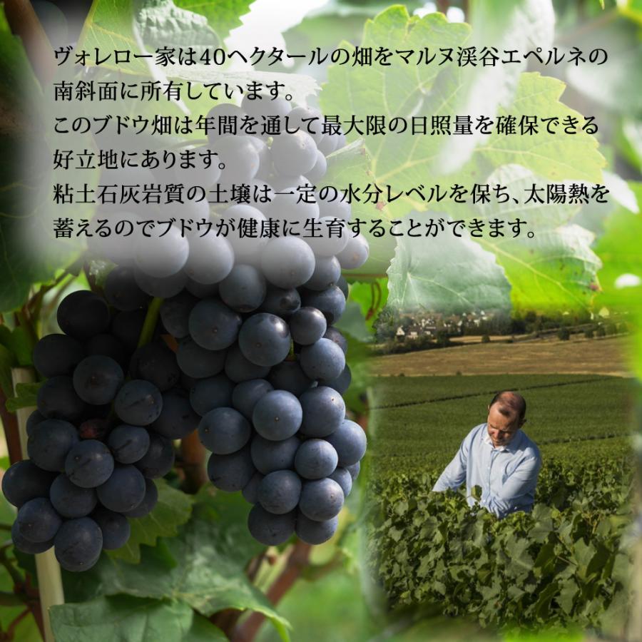 父の日 早割 2026 ワイン 飲み比べ ギフト ワインセット