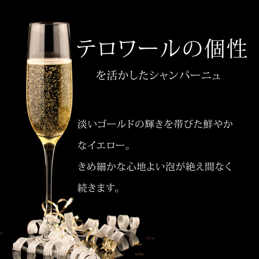 父の日 早割 2026 ワイン 飲み比べ ギフト ワインセット