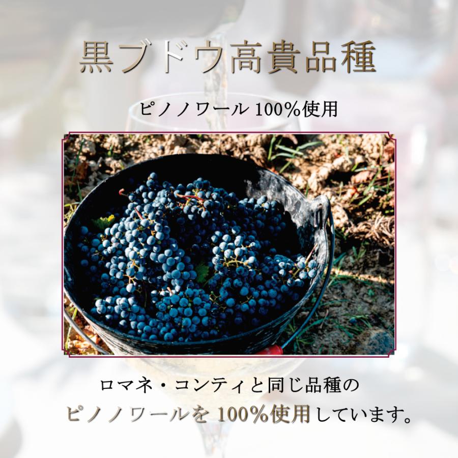 ワイン ワインセット 赤白 紅白 2本 フランス ギフト プレゼント お