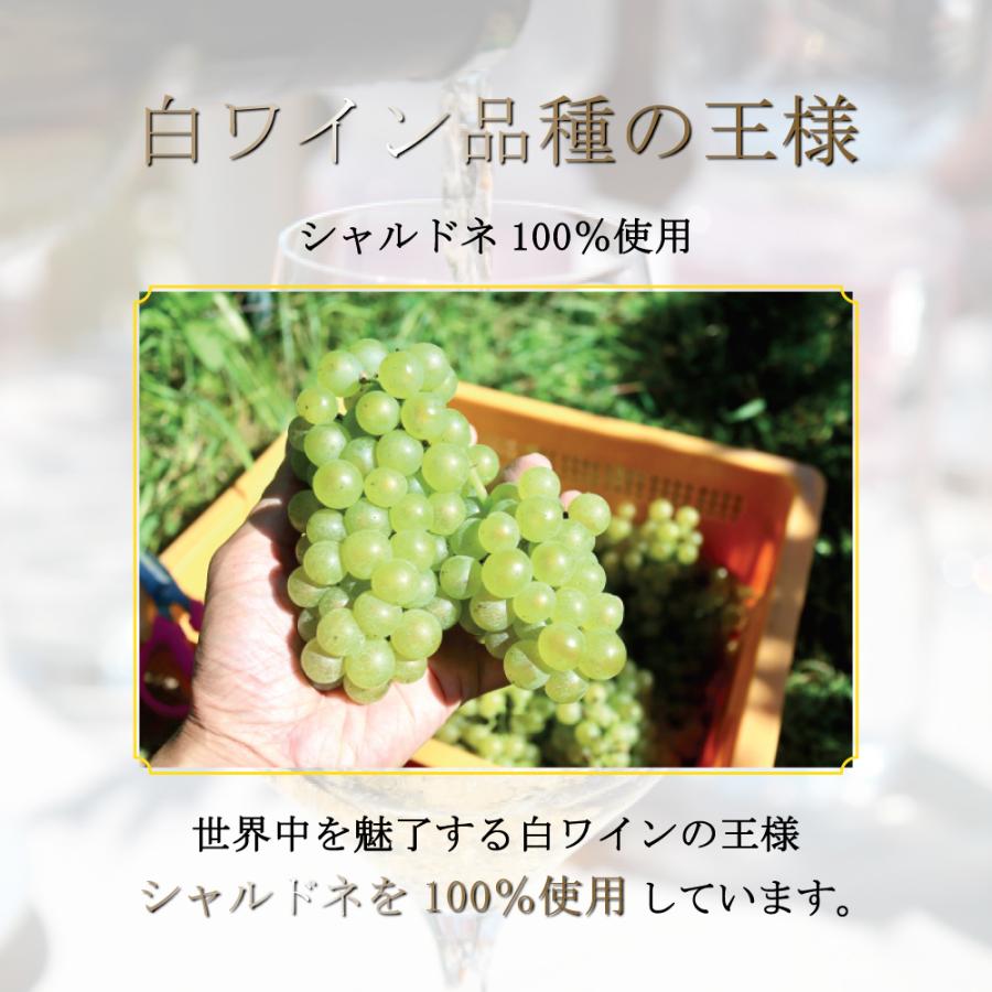 母の日 プレゼント ワイン ギフト 2025 早割 赤 白 フランス 母の日 プレゼント ワイン ギフト 2025 早割 赤 白 フランス