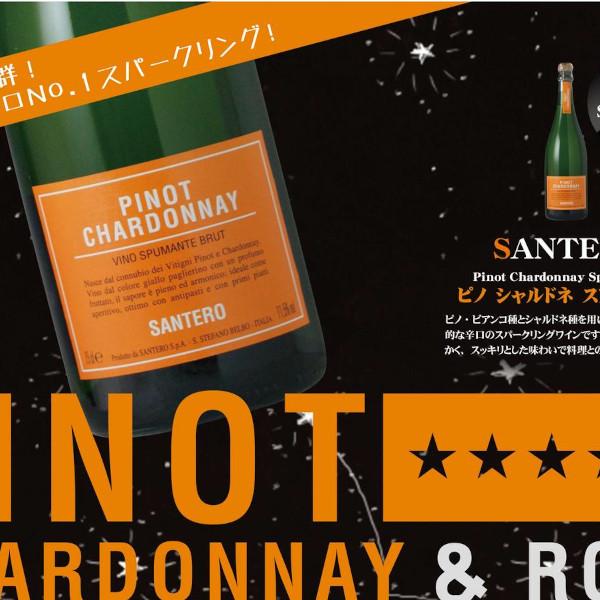 ピノ ロゼ ロゼ スパークリング 750ml / サンテロ (現行ビンテージお届け)｜winetamagawaya｜05