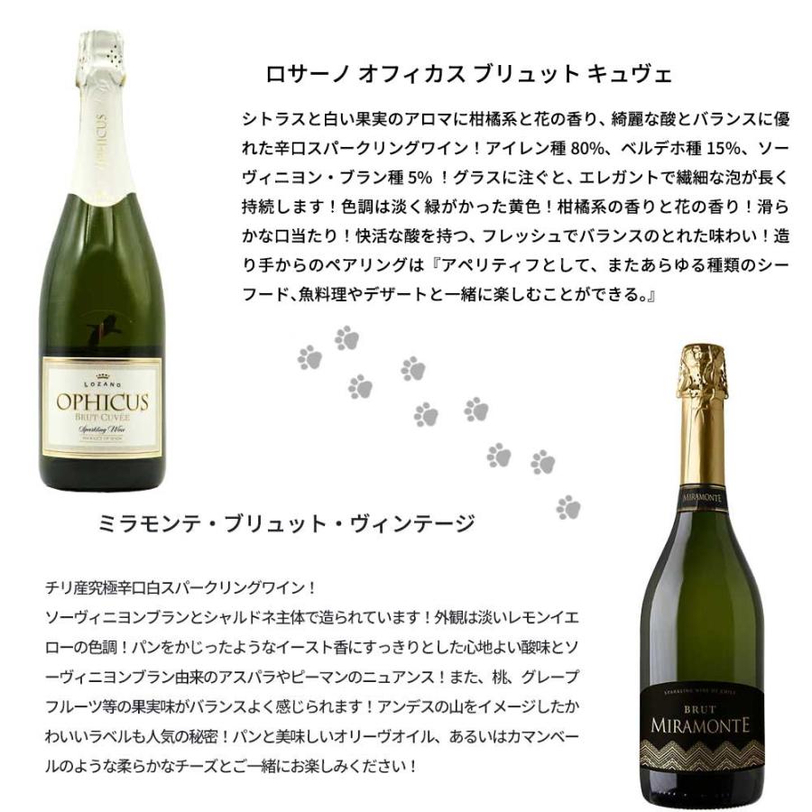 送料無料】うきたまシリーズ スパークリング12本 ワインセット
