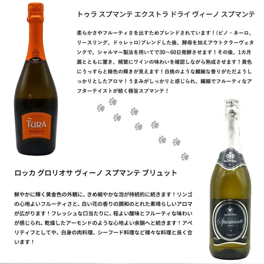 送料無料】うきたまシリーズ スパークリング12本 ワインセット