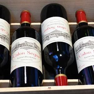 シャトー・カロンセギュール シャトー・カロン・セギュール 2010年  