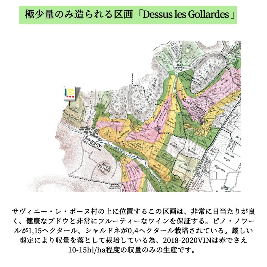 サヴィニ レ ボーヌ ドゥスュ ゴラルド ブラン 2022 蔵出し限定作品