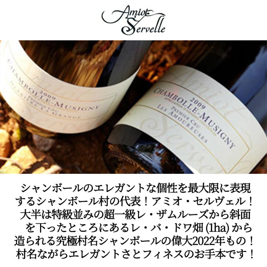 シャンボール ミュジニー 2022 蔵出し数量限定作品 ドメーヌ アミオ