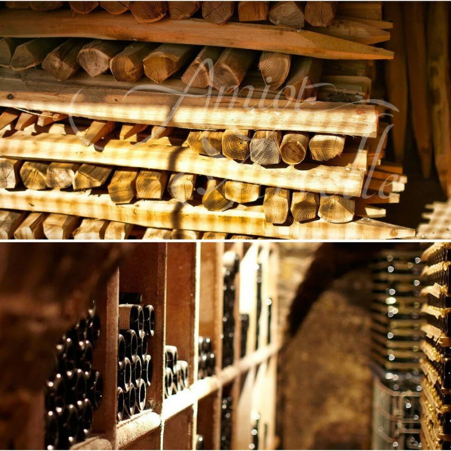 シャンボール ミュジニー 2022 蔵出し数量限定作品 ドメーヌ アミオ