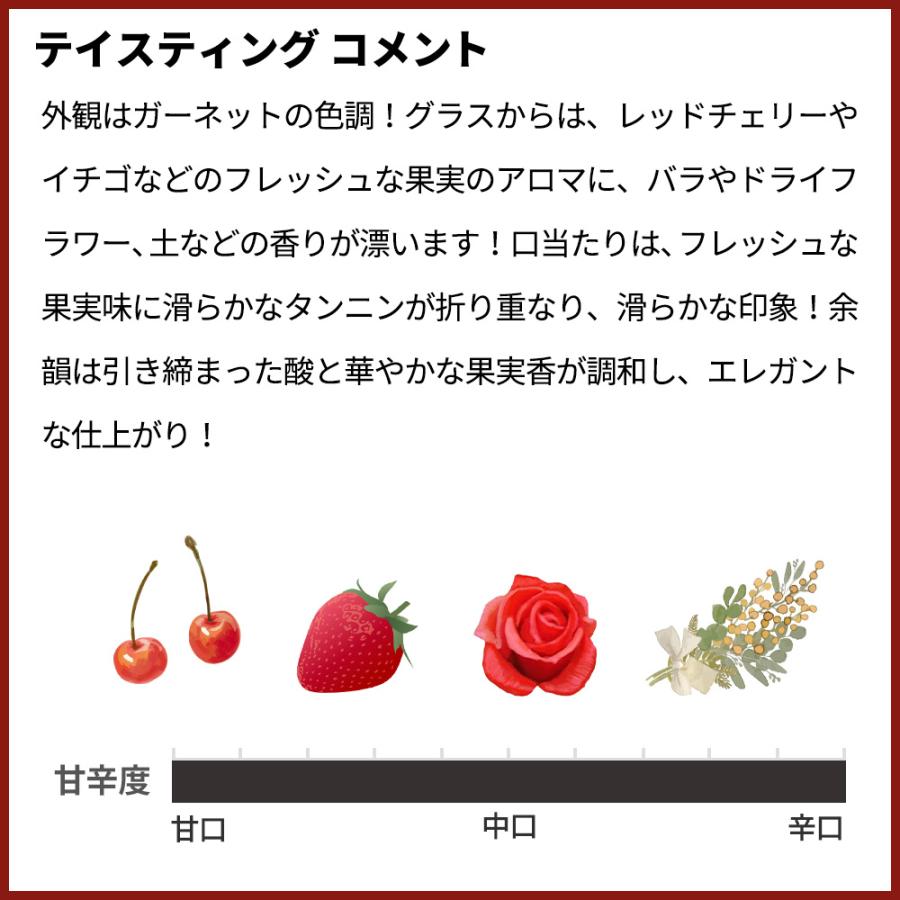 ヴォルネイ ニコラ・ロシニョール 750ml 2019年 ニコラ ロシニョール ヴォルネイ 2019（赤） | 株式会社藤酒販