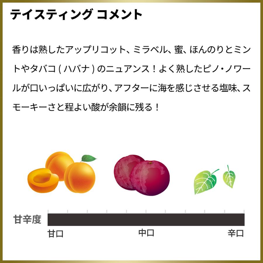アンリ ジロー シャンパーニュ オマージュ オー ピノ ノワール ブリュット AOCシャンパーニュ 正規代理店輸入品 白 辛口 高級泡_6