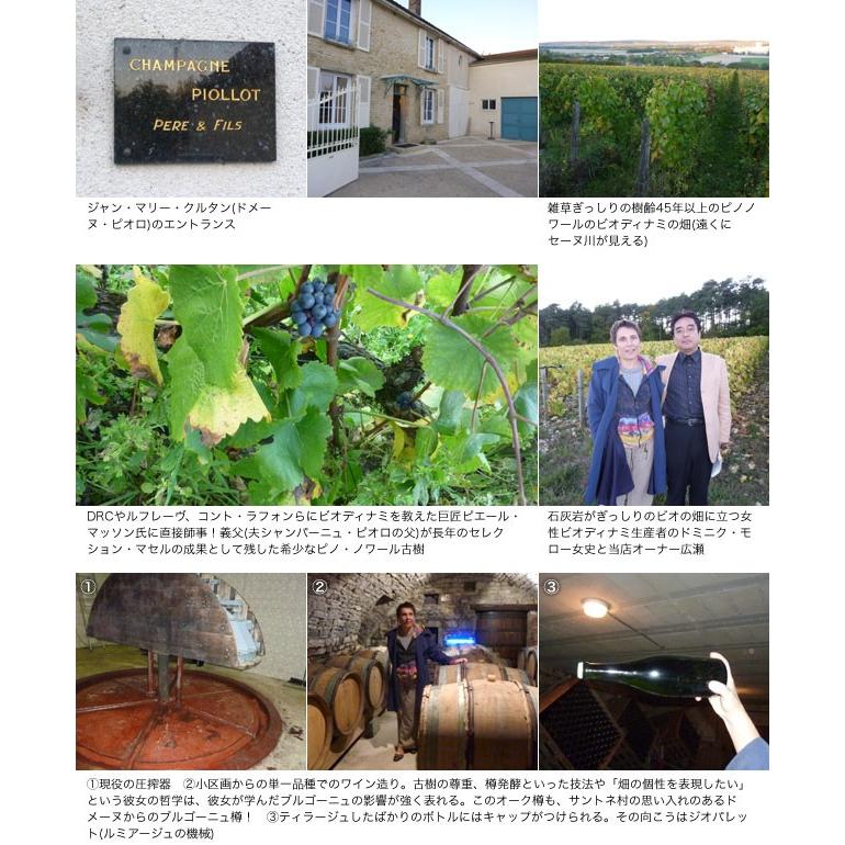 【大型サイズ】マリー クルタン シャンパーニュ エフロールサンス (開花) ヴィエイユ ヴィーニュ ヴィンテージ 2018 エクストラ ブリュット_8