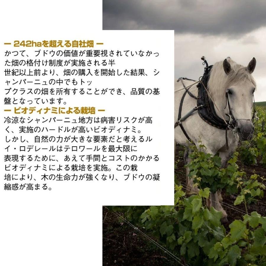 【大型ボトル 専用箱入】ルイ ロデレール Br BdB ミレジメ 2015 AOCミレジム BdB シャンパーニュ 正規品 デカンタ誌驚異の95点_8