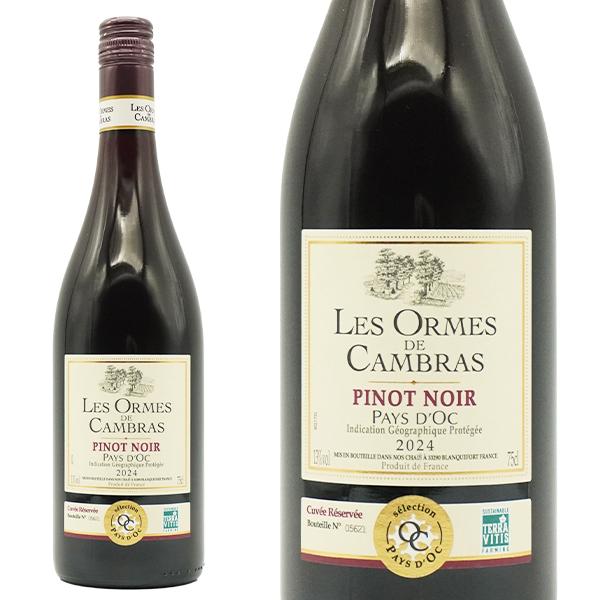 レ ゾルム ド カンブラス ピノ ノワール キュヴェ レセルヴ 2024