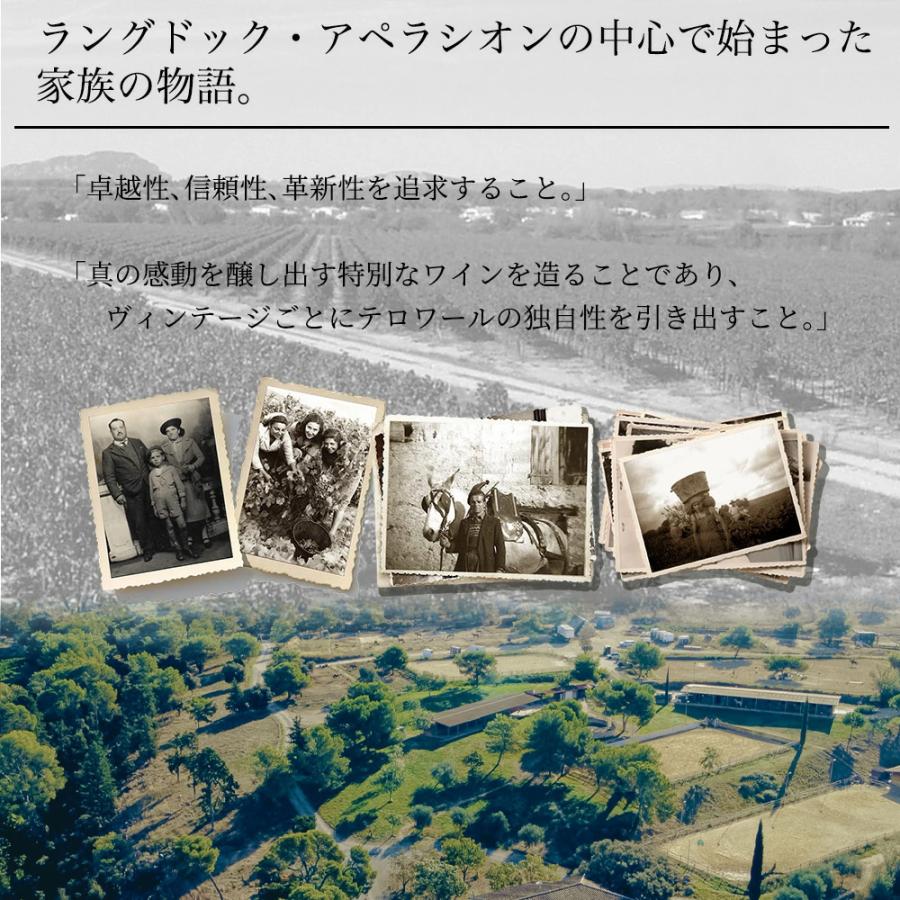 グリーン エメラルド (ソーヴィニヨン ブラン) 2024 (宝石シリーズ