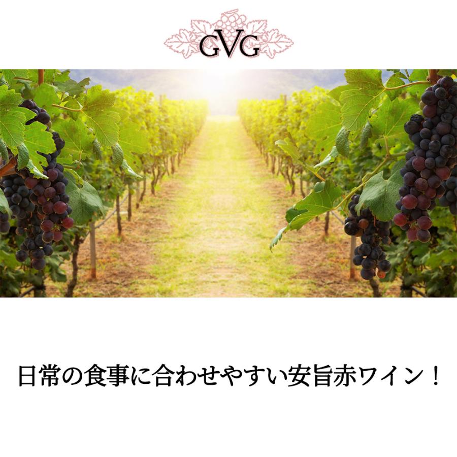 バロン ド ラボルド 赤 2023 GVG フランス IGPペイドック 度数13