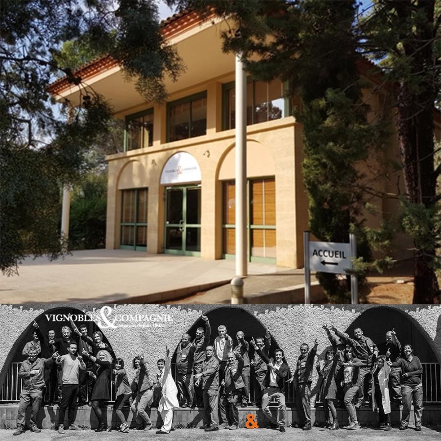 アンリ ドーティニャック シャルドネ(樽熟)[2024]年 ヴィニョーブル エ