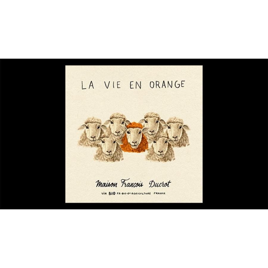 ラ ヴィ アン オランジュ(オレンジワイン) 2024 ザ シープ（by メゾン