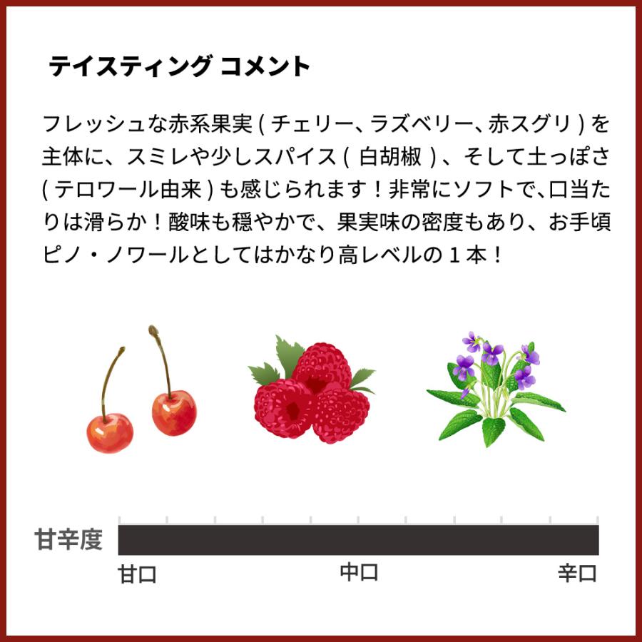 テッラ オクシタナ ピノ ノワール 2024 ロロン エ フィス ヴァン ド