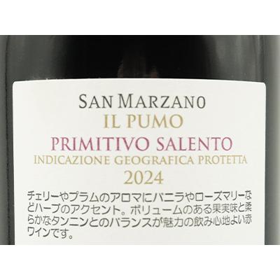 イル・プーモ プリミティーヴォ 2025年 カンティーネ・サン・マルツァーノ （赤ワイン・イタリア） |  | 01