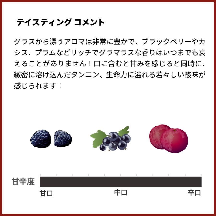マッセティーノ 2021 蔵出し限定品 自社畑100％ テヌータ デッロルネッ 