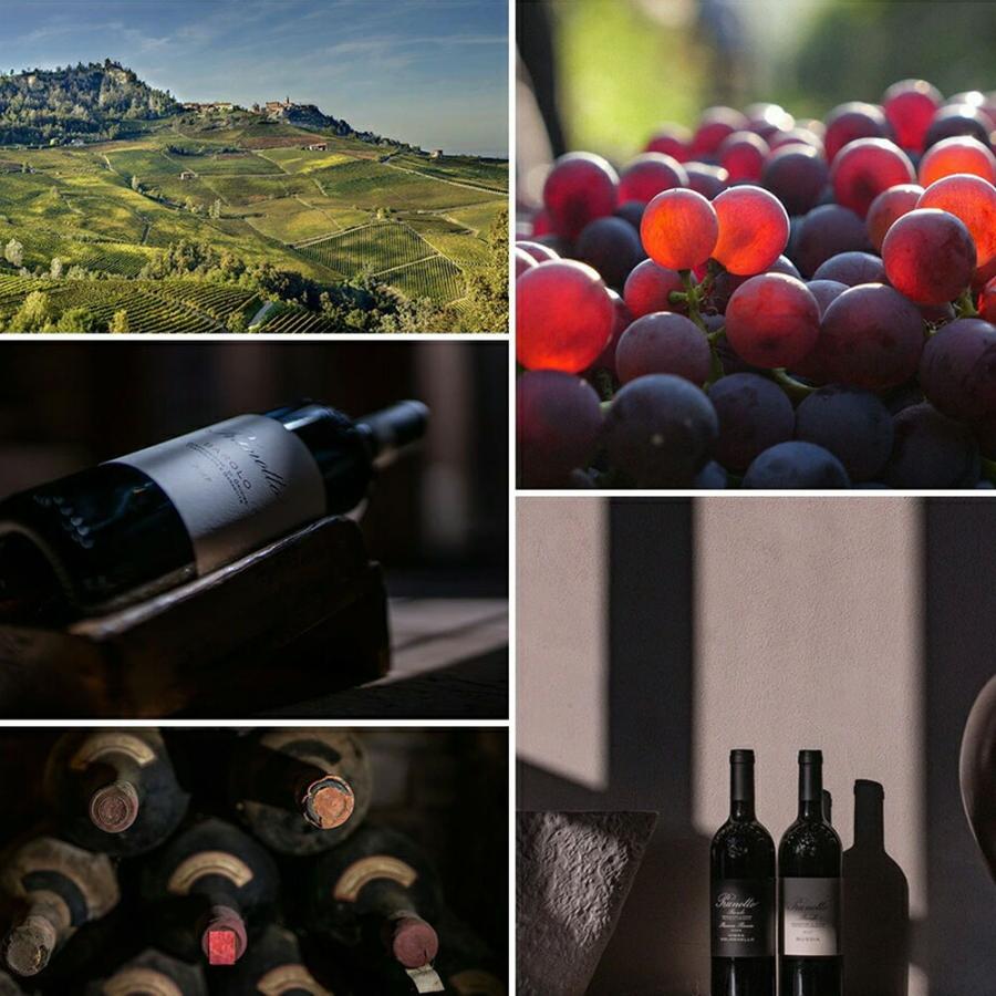 バローロ ブッシア 2020 プルノット (アンティノリ)  DOCGバローロ WA誌驚異の94点＆ヴィノス誌94点＆JS94点 正規代理店輸入品