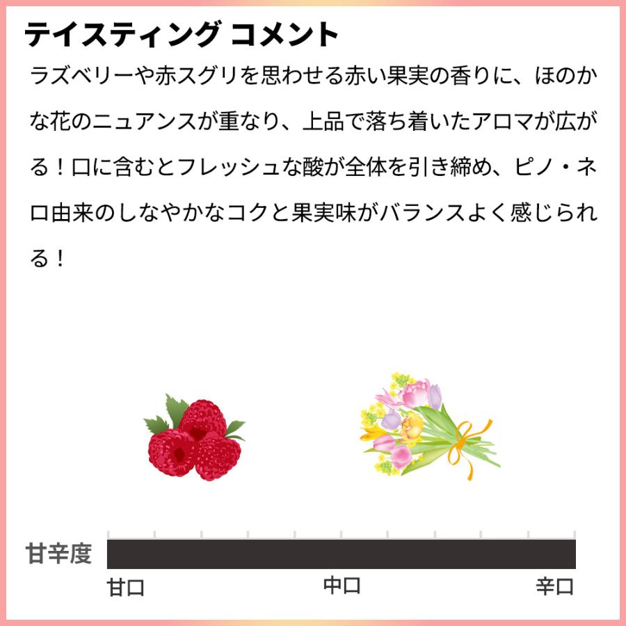 フランチャコルタ ロゼ ブリュット ピラミッド ボトル ミレジマート