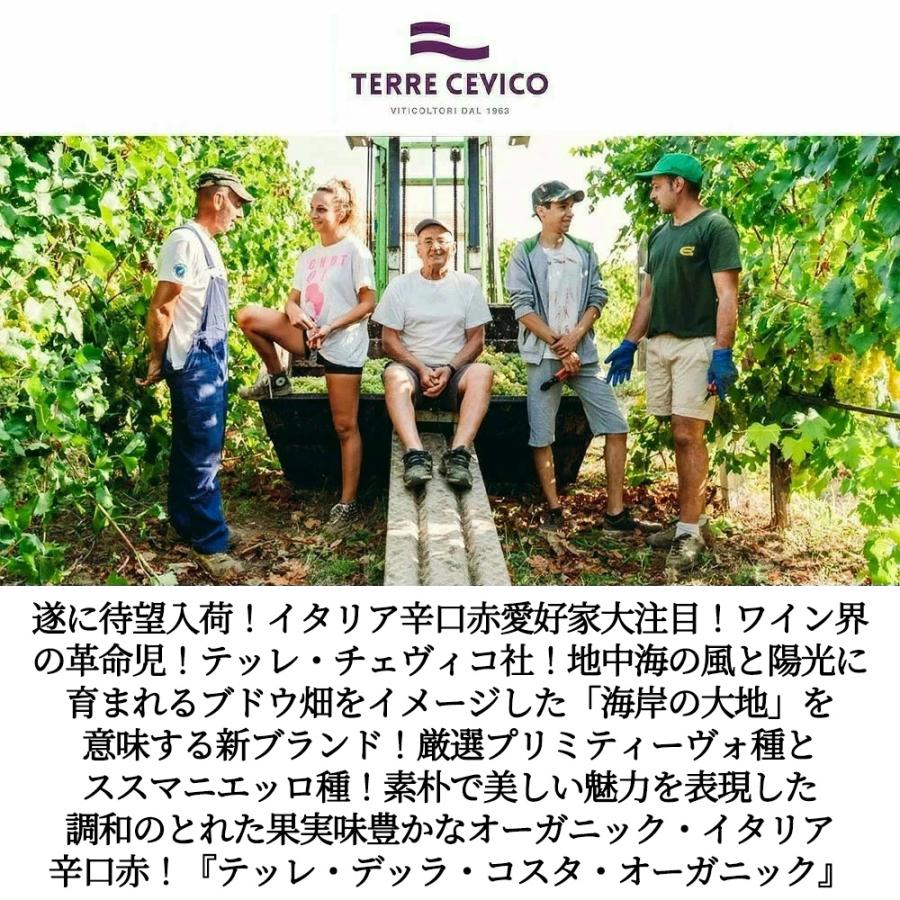 テッレ デッラ コスタ オーガニック プーリア ロッソ 2024 チェヴィコ