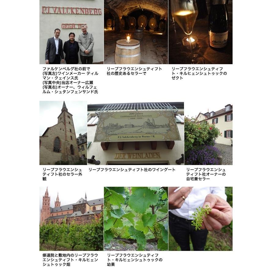 リープフラウミルヒ マドンナ 2024 Q.b.A.(ファルケンベルグ社) ドイツ