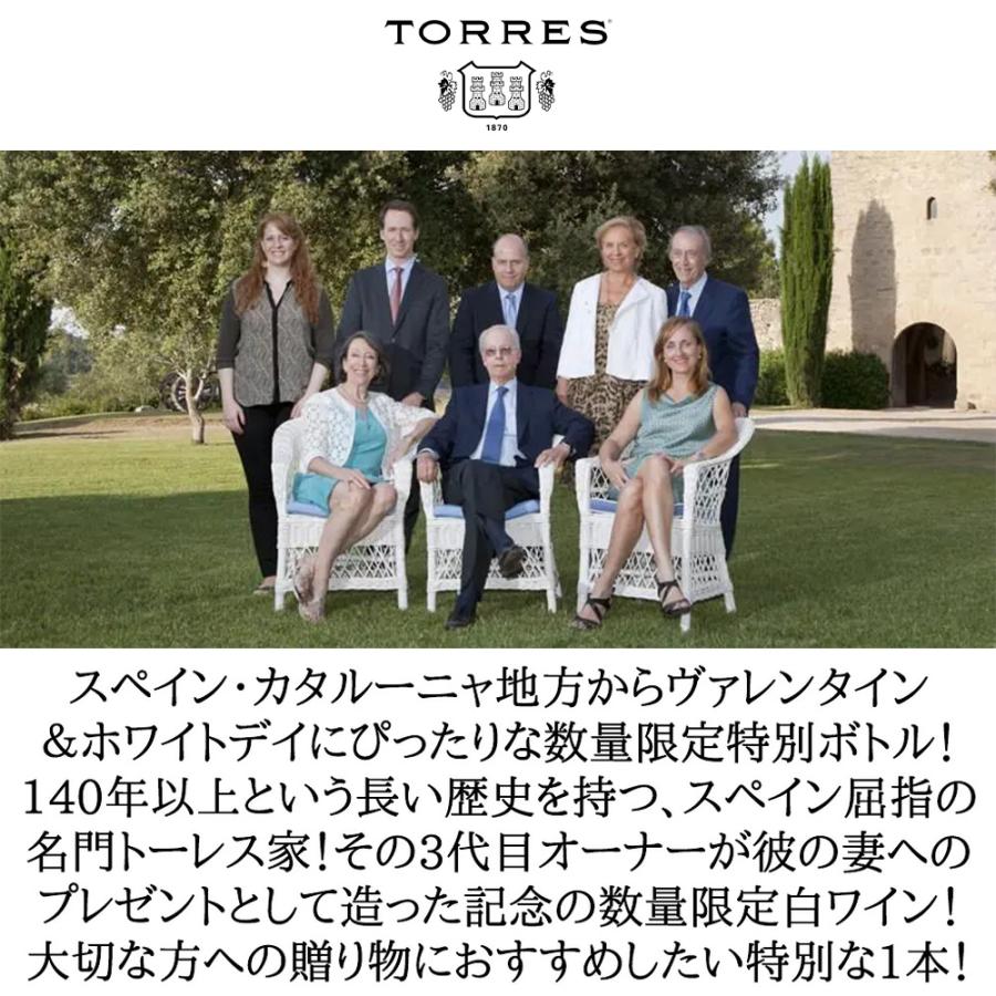 サン ヴァレンティン スペシャル エディション ホワイト 2024 ミゲル