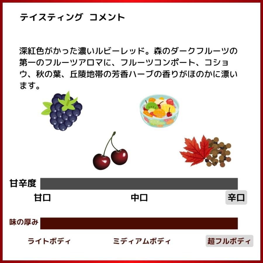 4本以上ご購入で送料無料】ジェン ワン ティント 2021 蔵出し作品
