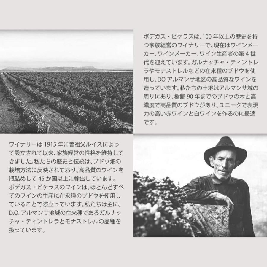 4本以上ご購入で送料無料】ジェン ワン ティント 2020 蔵出し作品