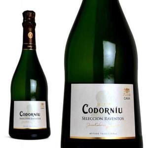 コドーニュ・キュヴェ・ラベントス・ブリュット（泡・食前酒） 家飲み