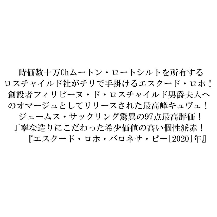 エスクード ロホバロネサ ピー 2020 バロン フィリップ ド ロスチャイルド マイポ チリ マイポ ヴァレー ジェームス サックリング97点高評価_5