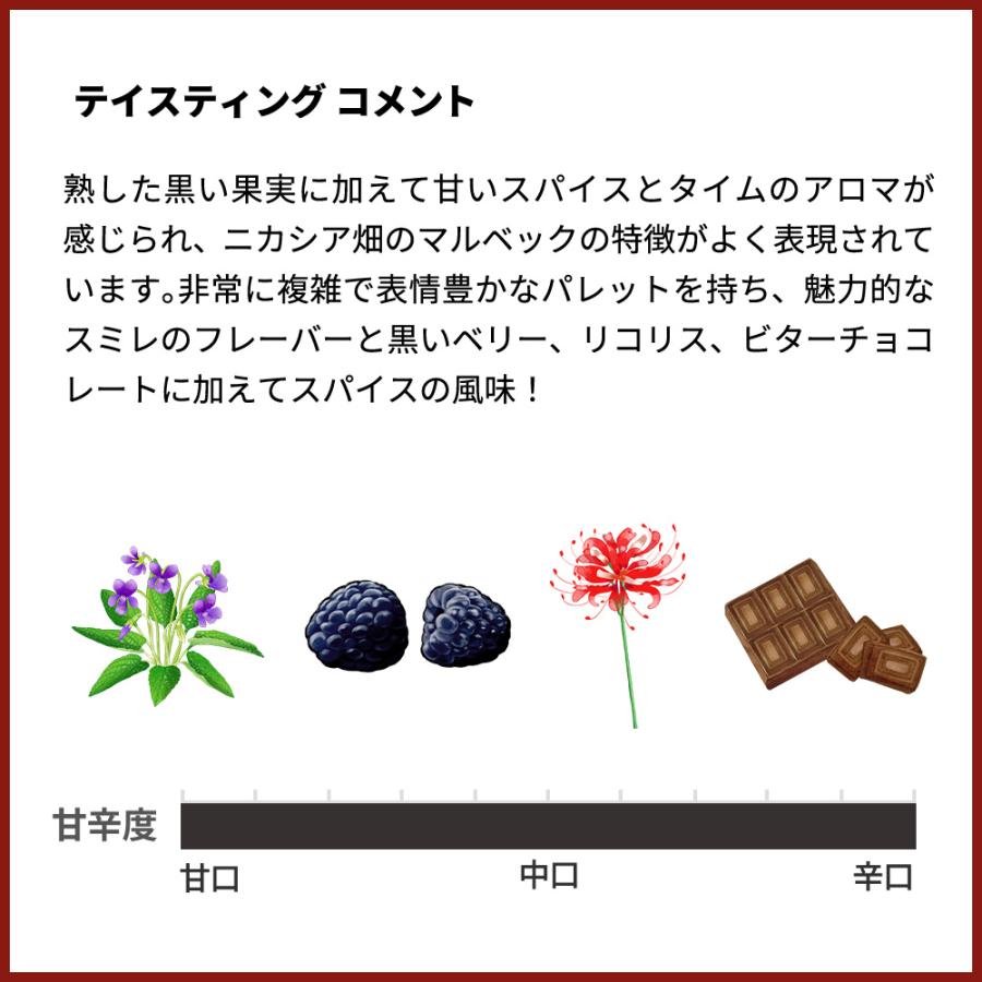 カテナ サパータ ニカシア ヴィンヤード (シングル ヴィンヤード