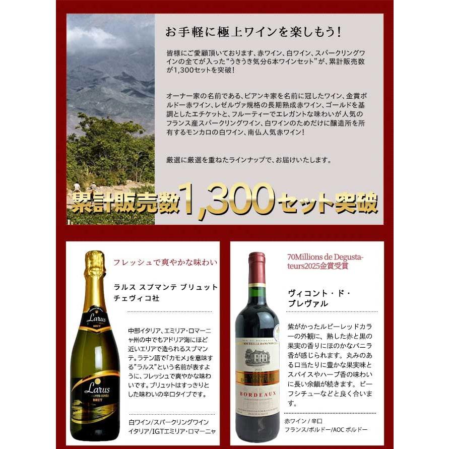 ワインセット 極上の味わい＆価格に超自信あり！毎日の食卓に！赤・白