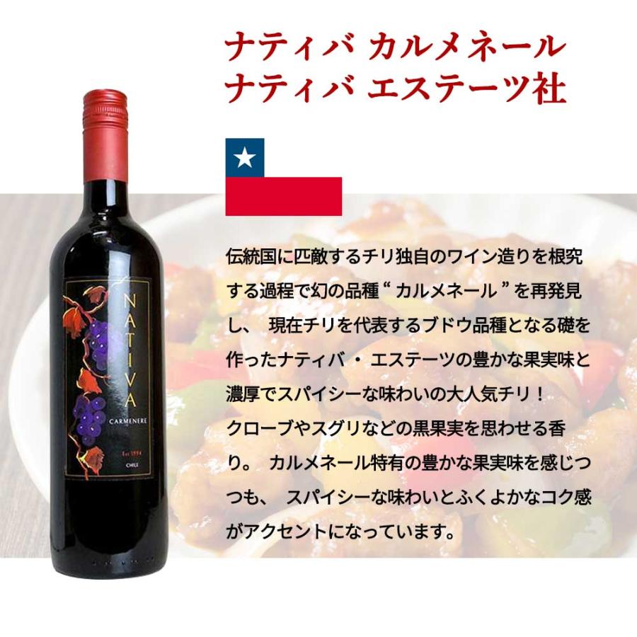 送料無料】ワイン セット びっくりプライス！大感謝祭！うきうきワイン