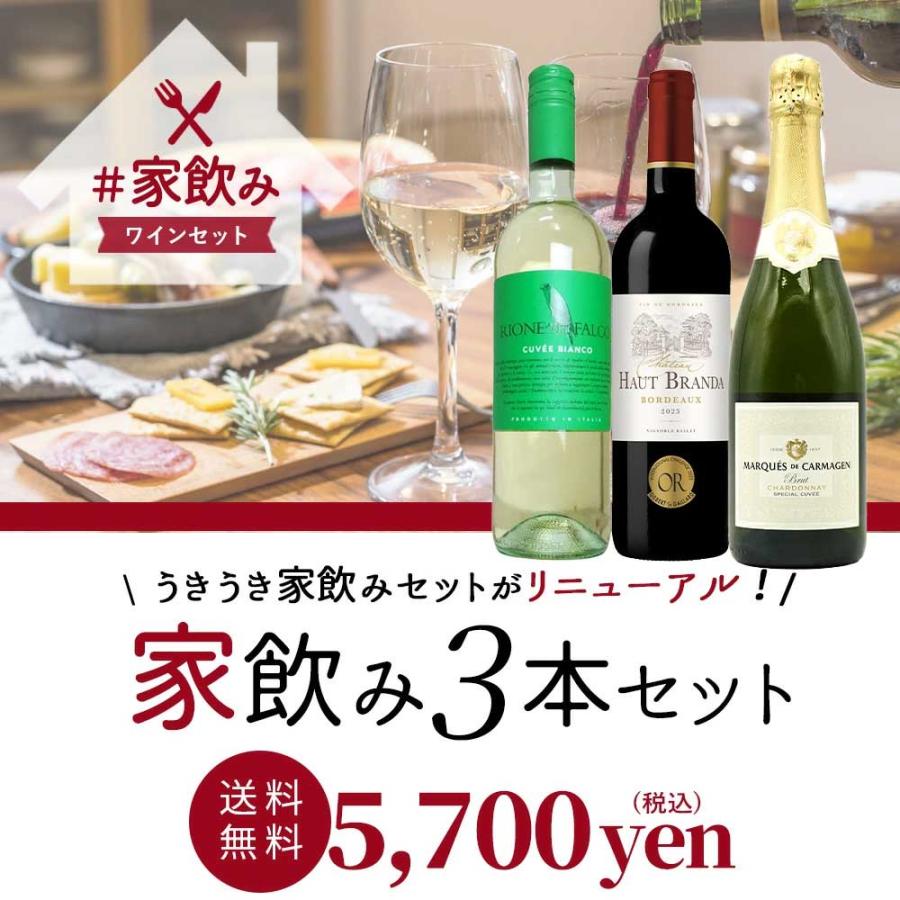 送料無料】高級ボルドー金賞入 赤ワイン 白ワイン スパークリング 家