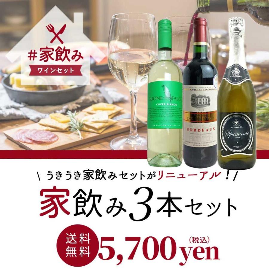 送料無料】高級ボルドー金賞入 赤ワイン 白ワイン スパークリング 家