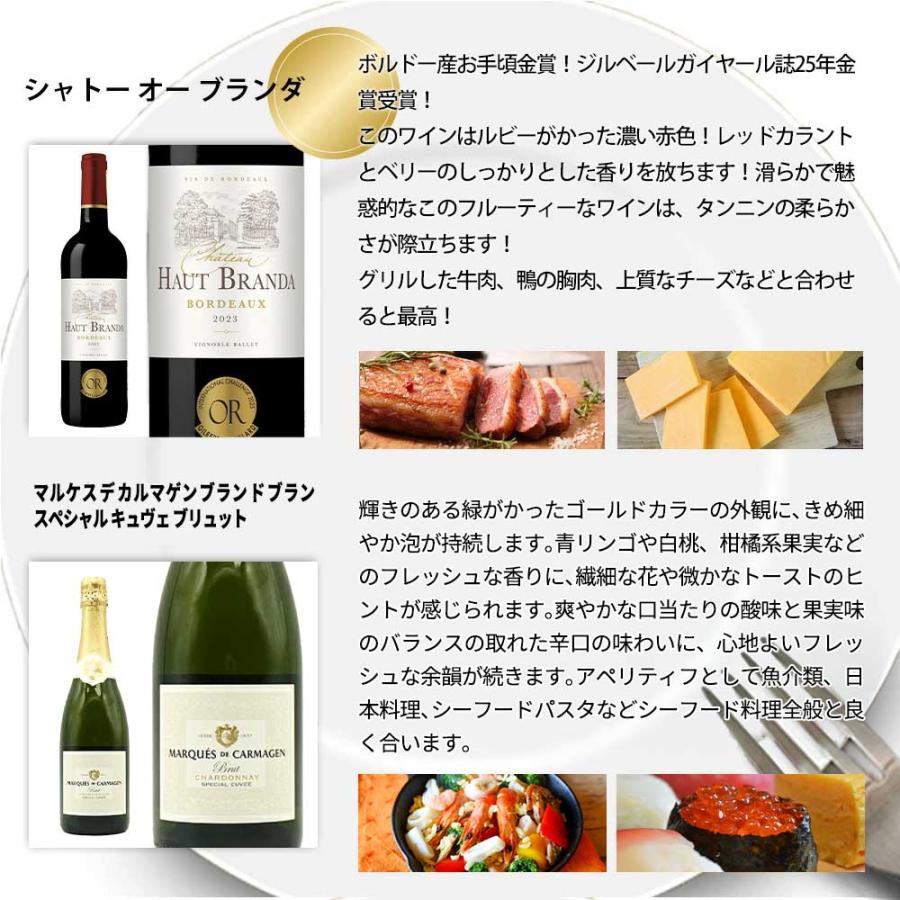 送料無料】高級ボルドー金賞入 赤ワイン 白ワイン スパークリング 家