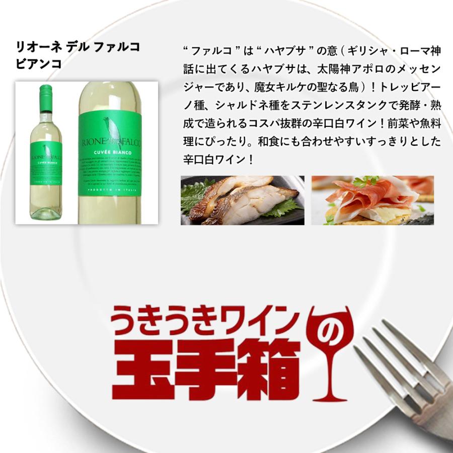 送料無料】高級ボルドー金賞入 赤ワイン 白ワイン スパークリング 家
